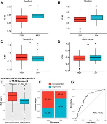 Stemness analysis in hepatocellular carcinoma identifies an extracellular matrix gene–related signature associated with prognosis and therapy response